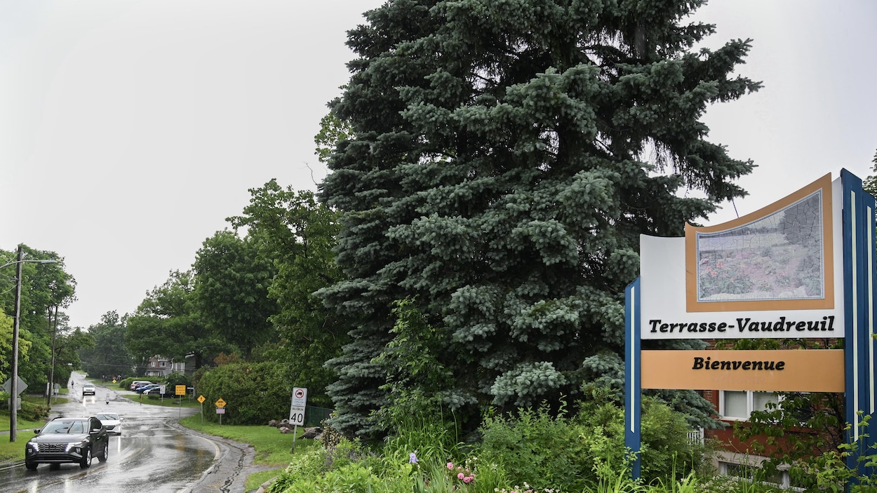 La ville de Terrasse-Vaudreuil reconnaît les droits des arbres