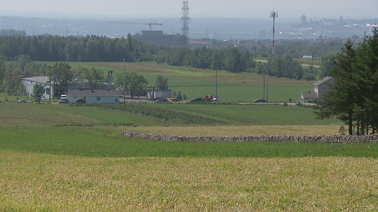 La Ville de Québec affirme qu'elle n'a pas le choix de développer ses terres agricoles.
