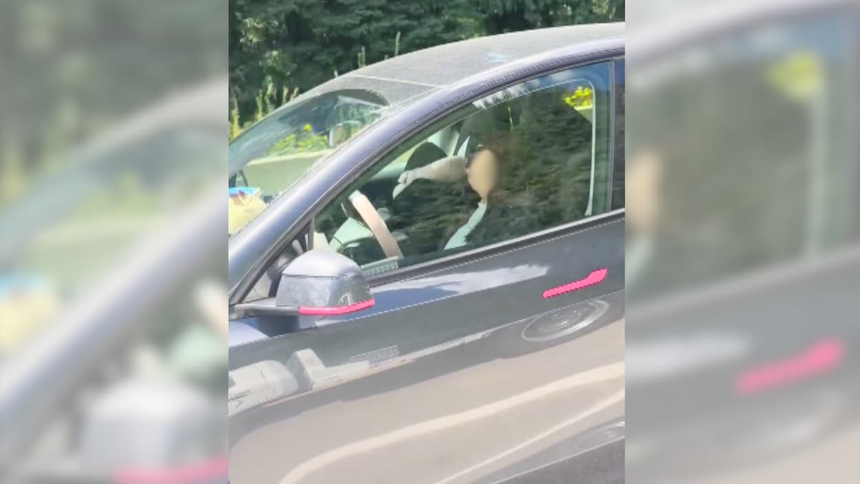 Une conductrice de Tesla visiblement endormie sur l’autoroute