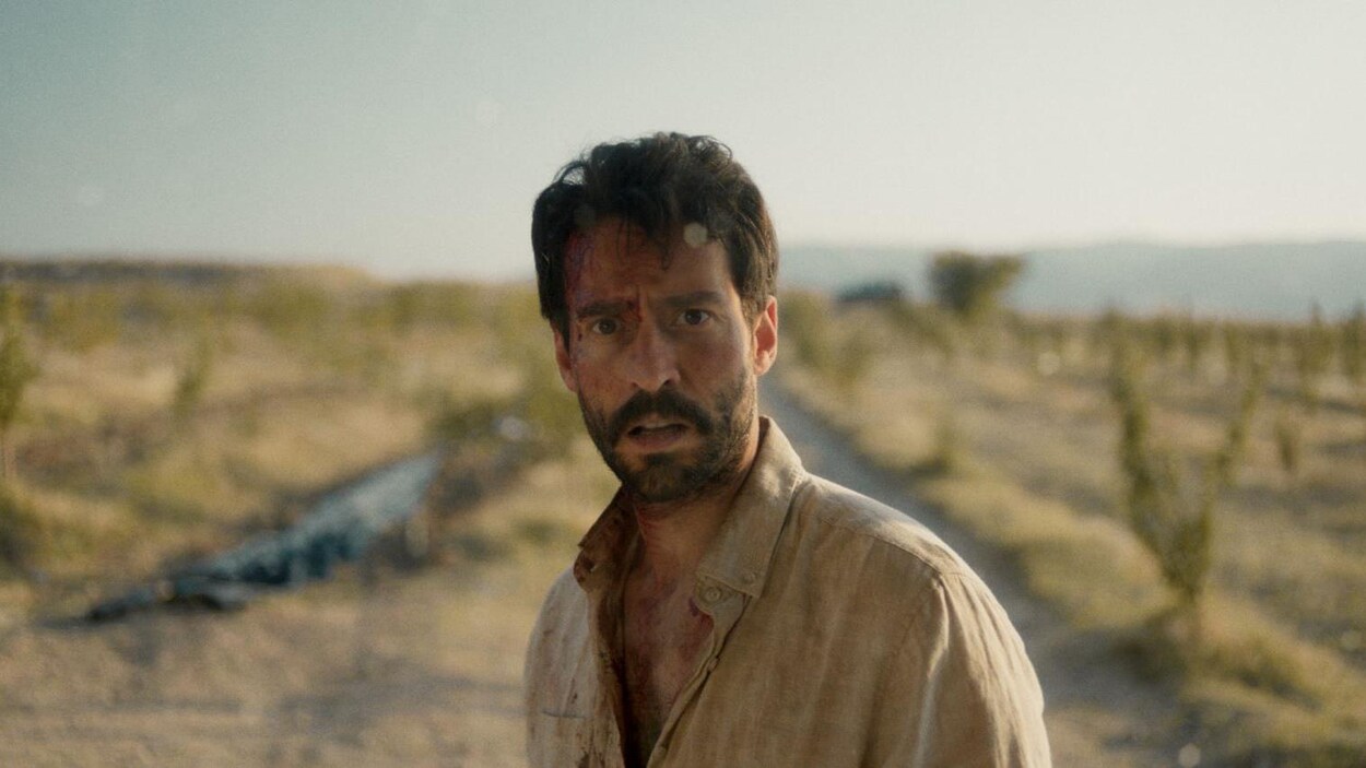 Oscars : le film The Things You Kill, d’Alireza Khatami, représentera le Canada