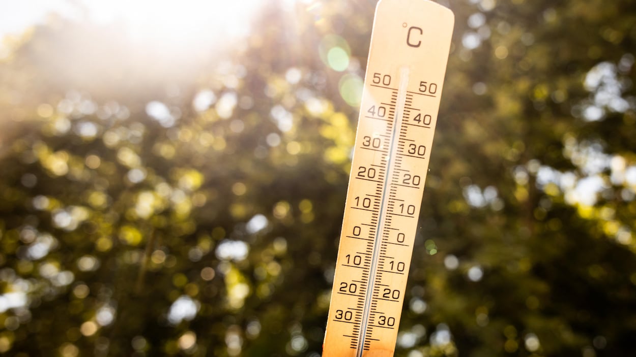 Vague de chaleur : jusqu’à 38 °C attendus en Alberta