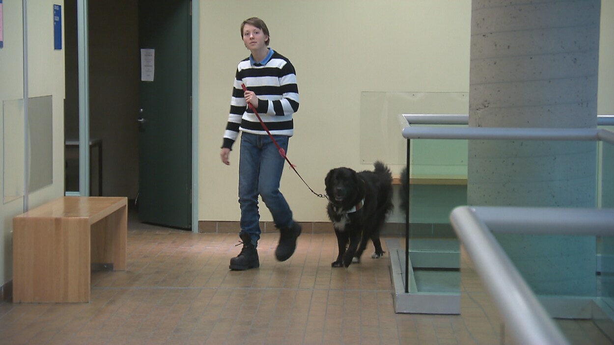 Le garçon tient son chien en laisse dans le corridor du palais