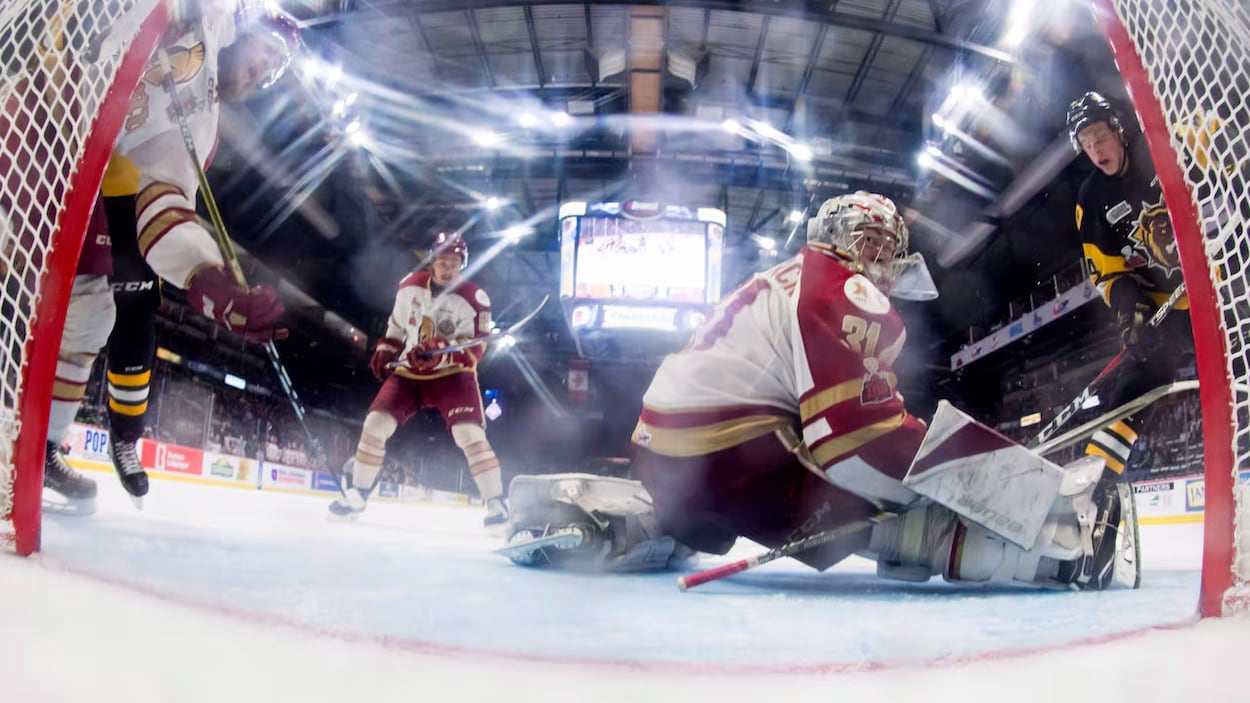 Des règles modifiées pour un possible retour du hockey de haut niveau à Terre-Neuve