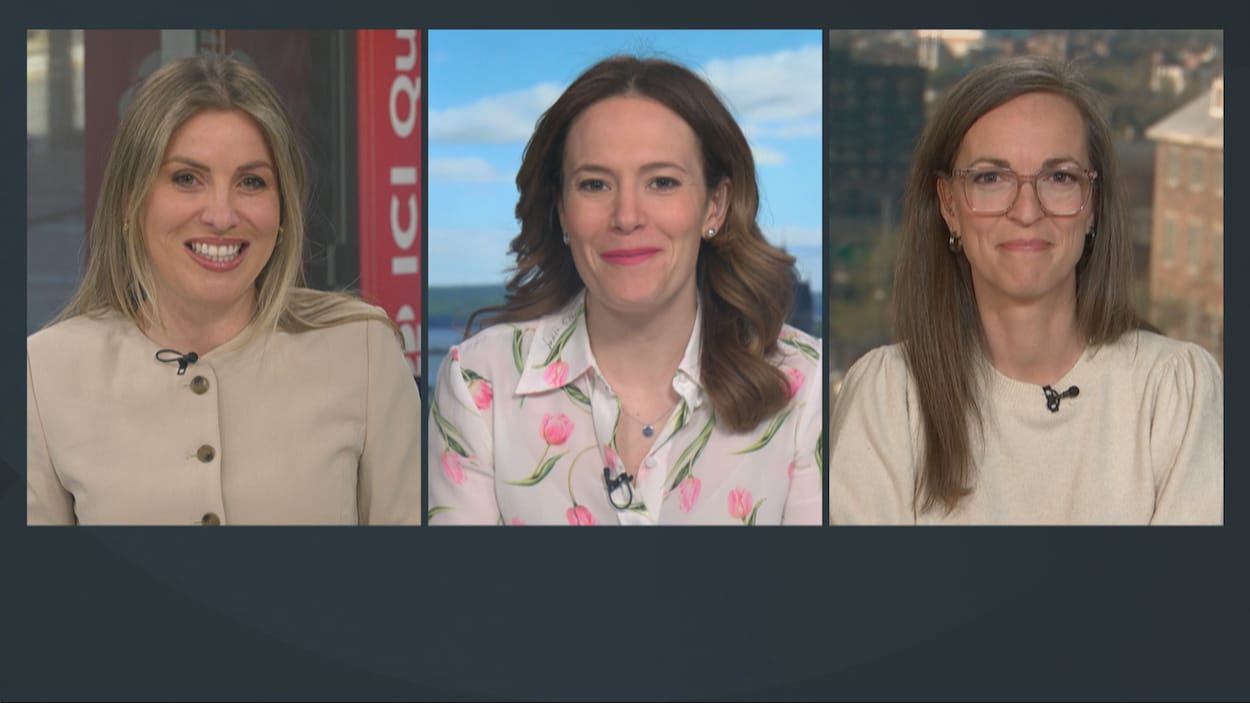 Panel politique : la CAQ remonte dans les sondages