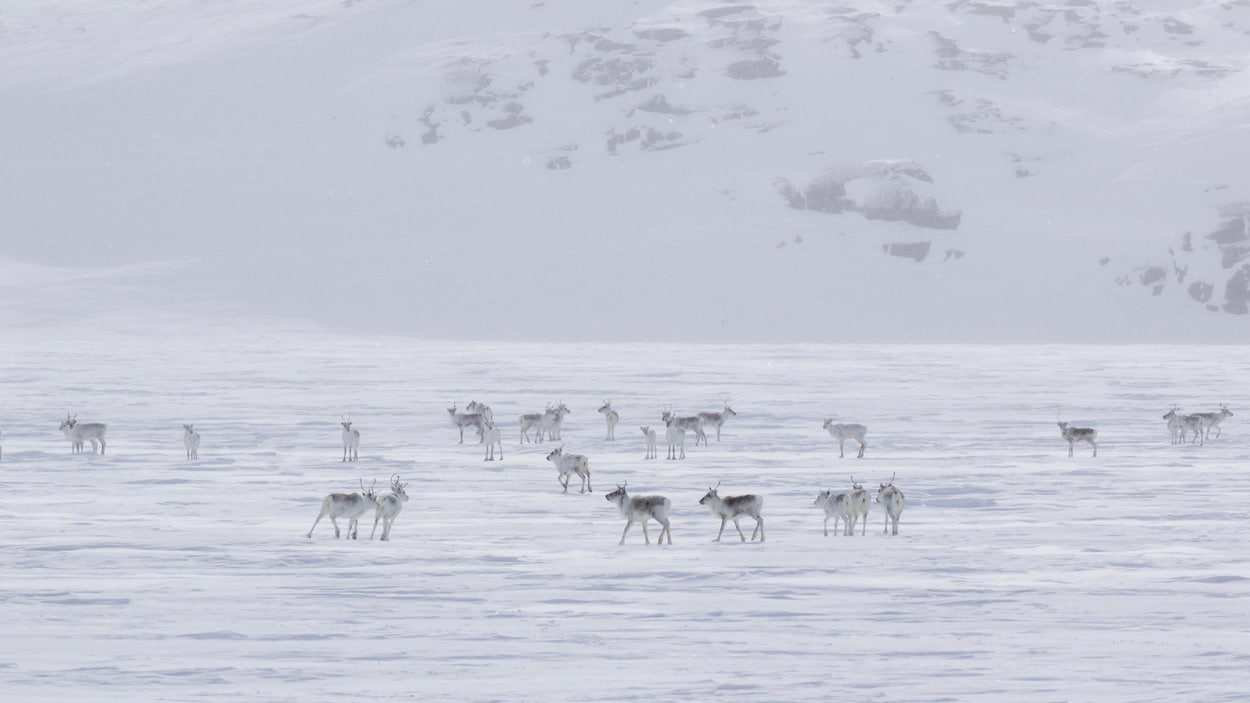 Un documentaire met en lumière les inquiétudes des Inuit concernant un projet de route au Nunavut