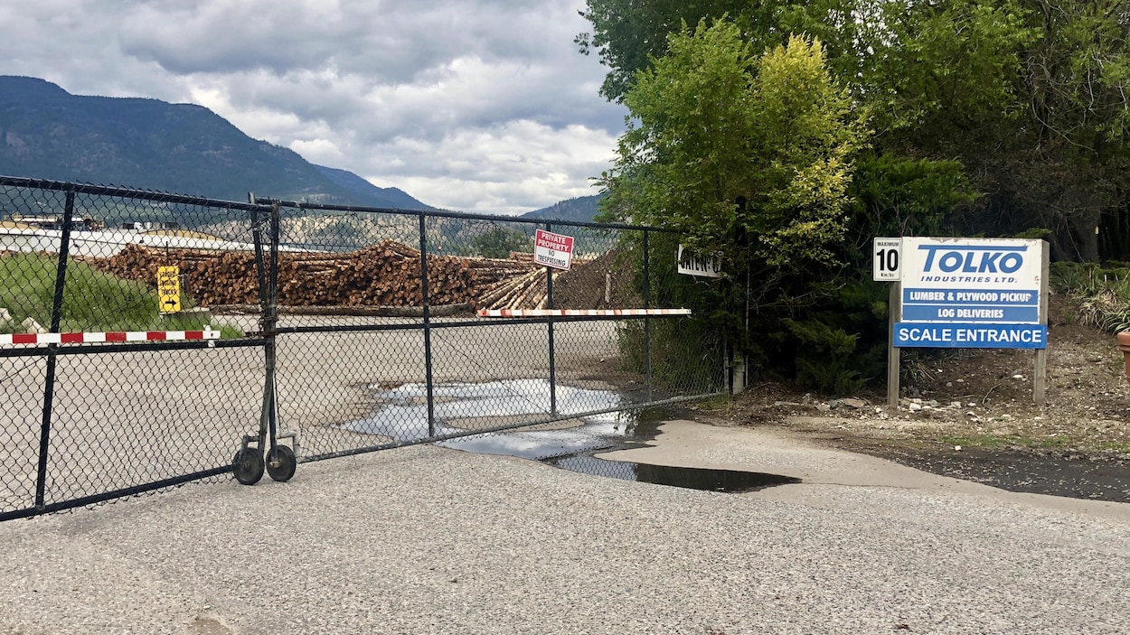 Une enseigne adjacente à une clôture grillagée fermée donnant sur une réserve de rondins empilés.