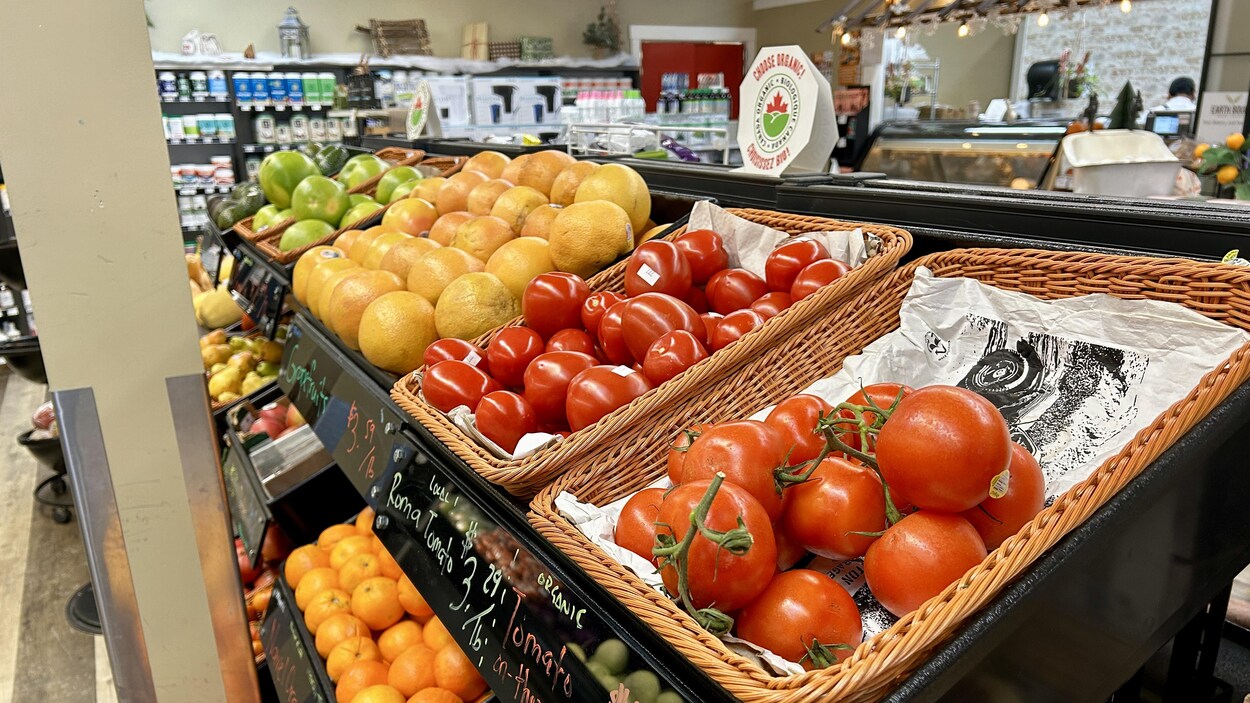 Un panier d’épicerie qui coûte 32 % plus cher qu’en 2018
