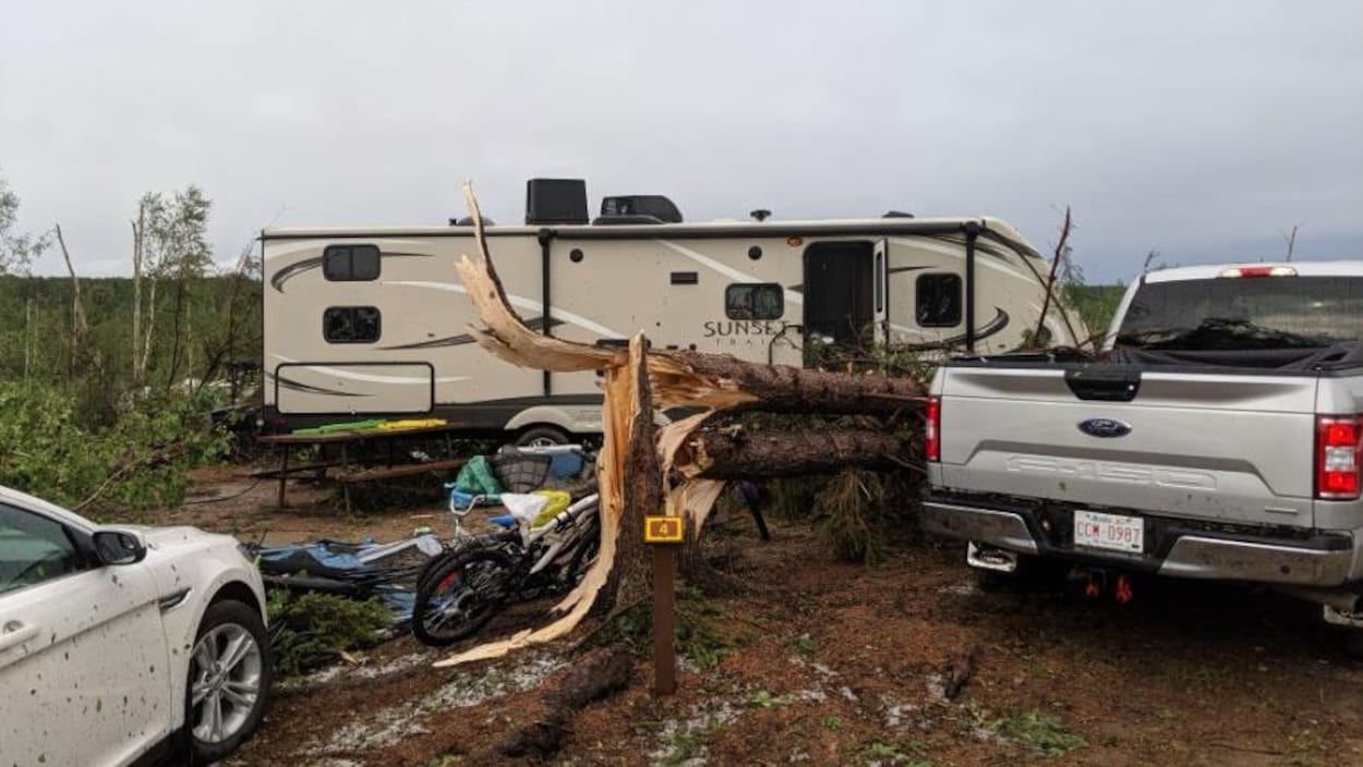 Devant une caravane motorisée se trouve un arbre cassé et tombé au sol. Des voitures semblent également endommagées.