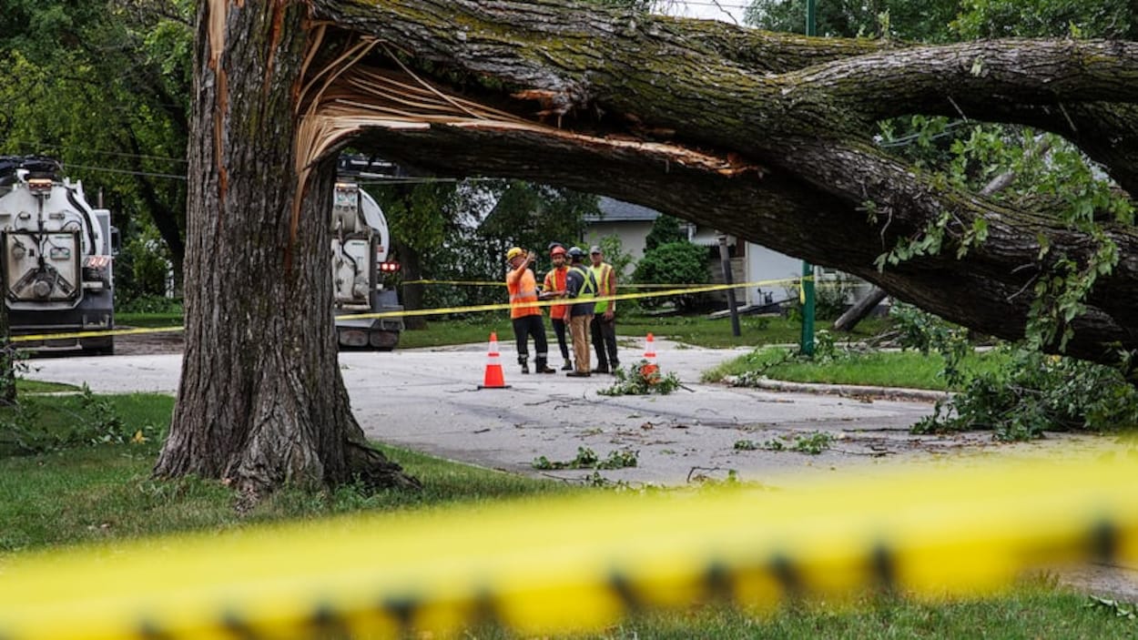 Une tornade a touché le quartier de River Heights dimanche soir