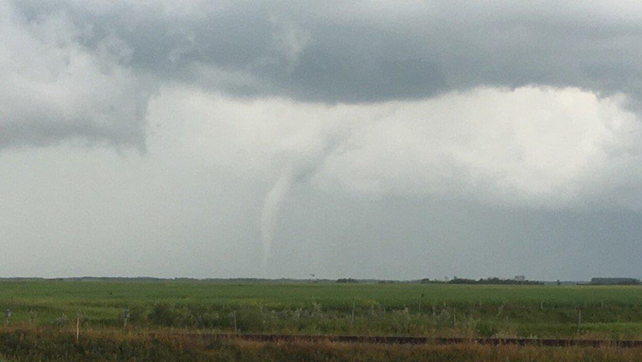 Une prairie avec une tornade vue de loin.