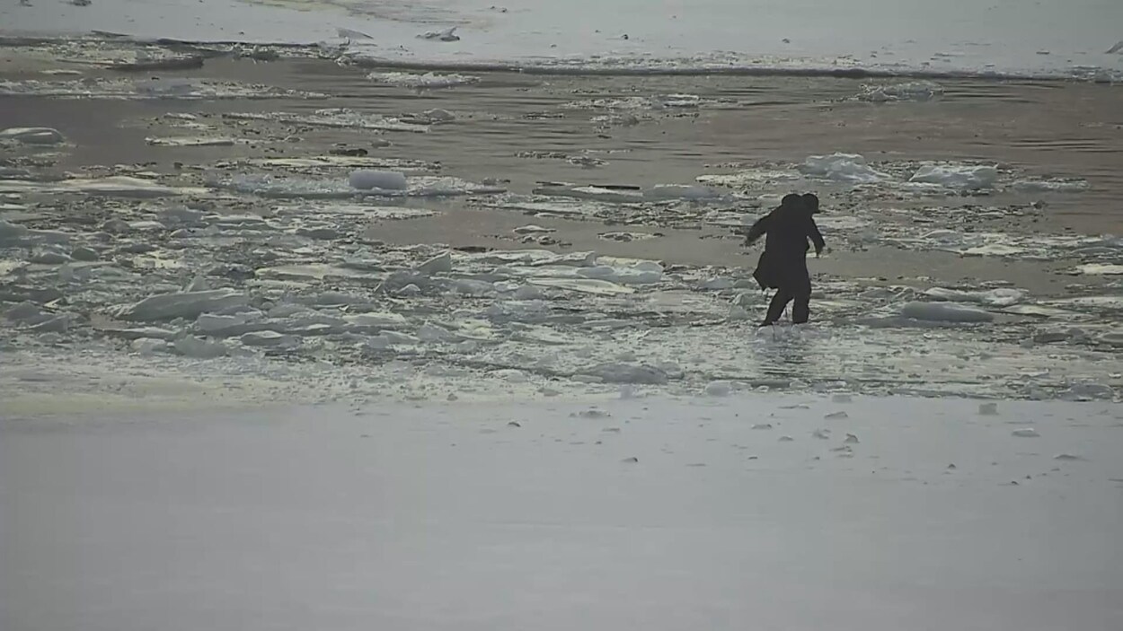 « Restez hors de la glace » : la police de Toronto met en garde contre des conditions dangereuses