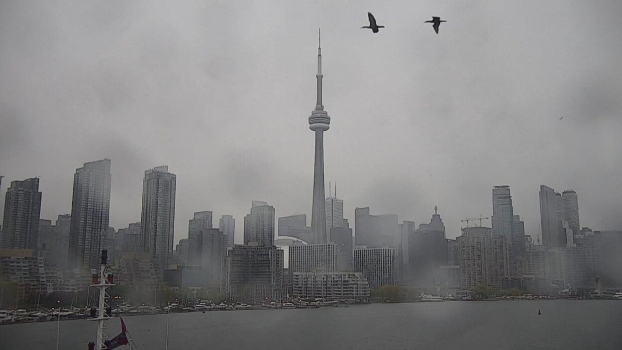 Vue du centre-ville de Toronto sous la pluie.
