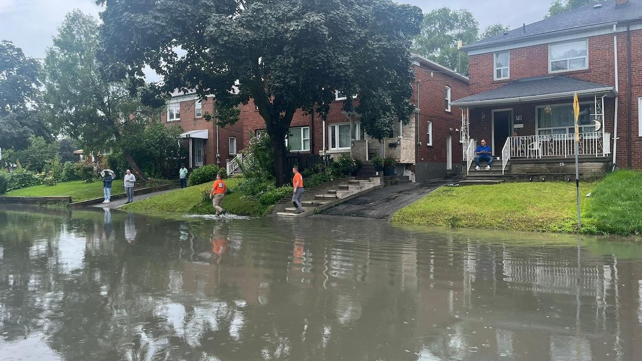 Couper 847 arbres pour empêcher des inondations? Des Torontois protestent