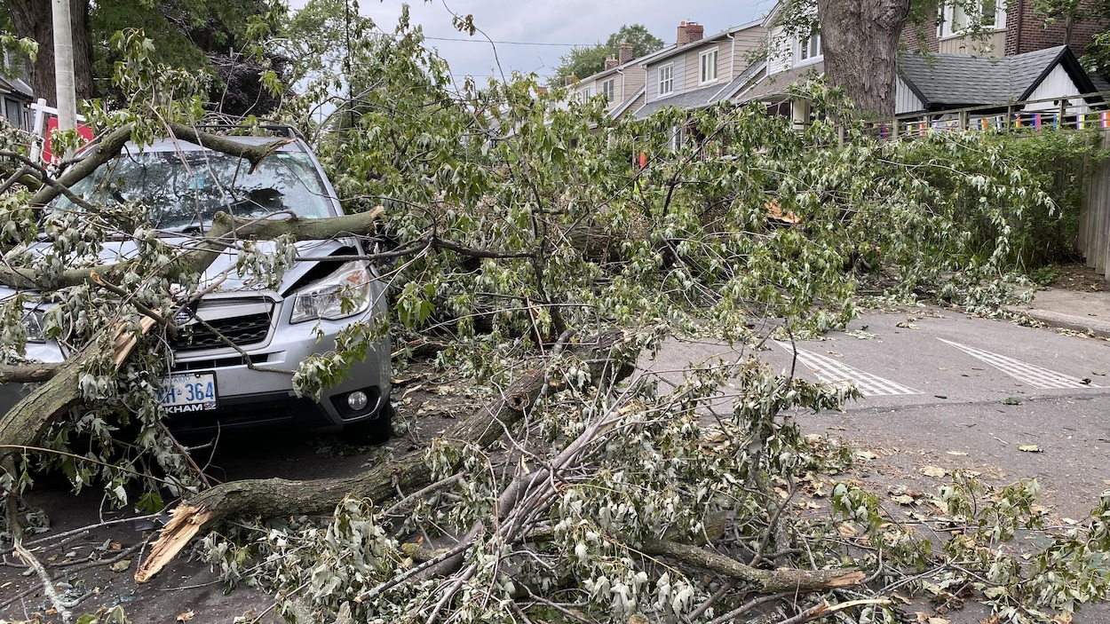Toronto nettoie toujours les dégâts, une semaine après la tempête