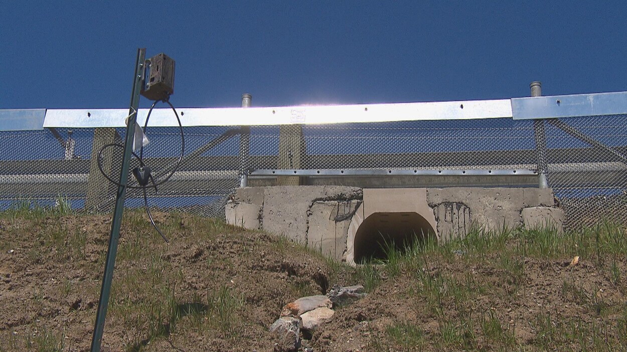 Le passage est constitué d'un tunnel de béton polymère.