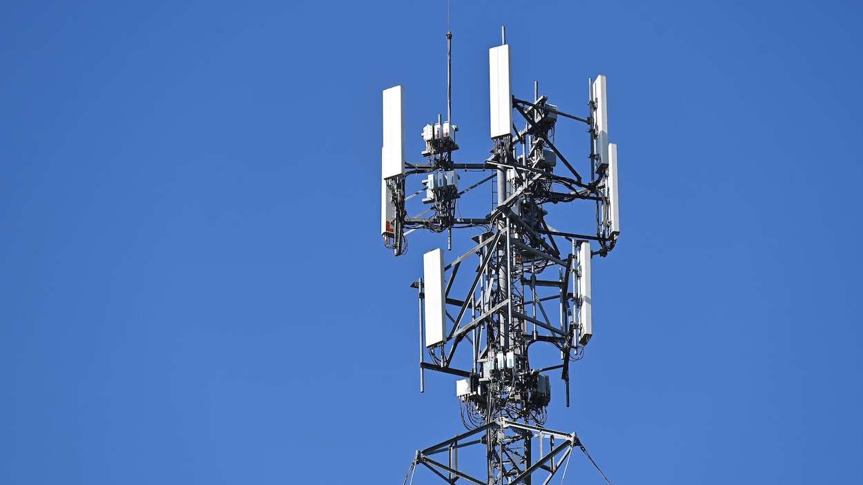 Réseau cellulaire dans la Péninsule : la mobilisation citoyenne se poursuit