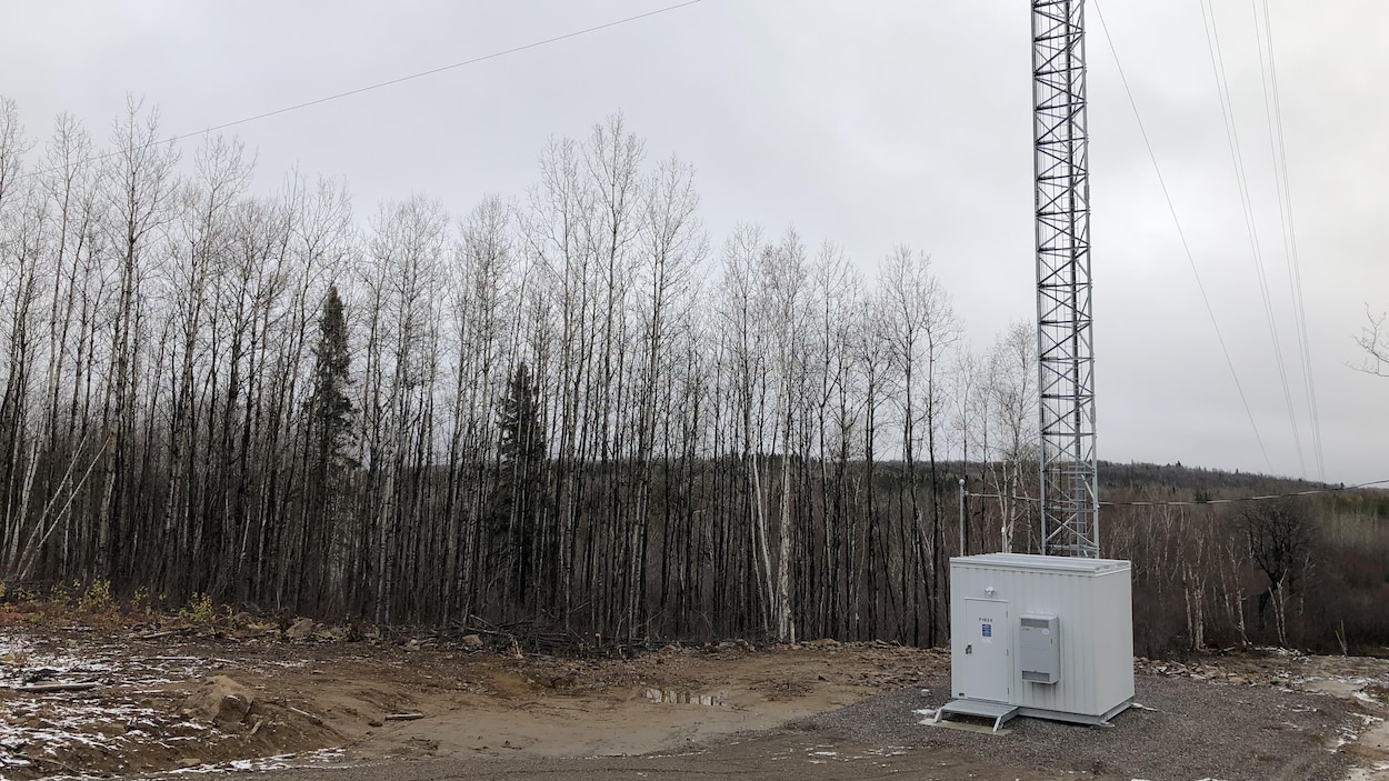 Une tour de télécommunications installée près de la forêt à Saint-François-de-Sales.