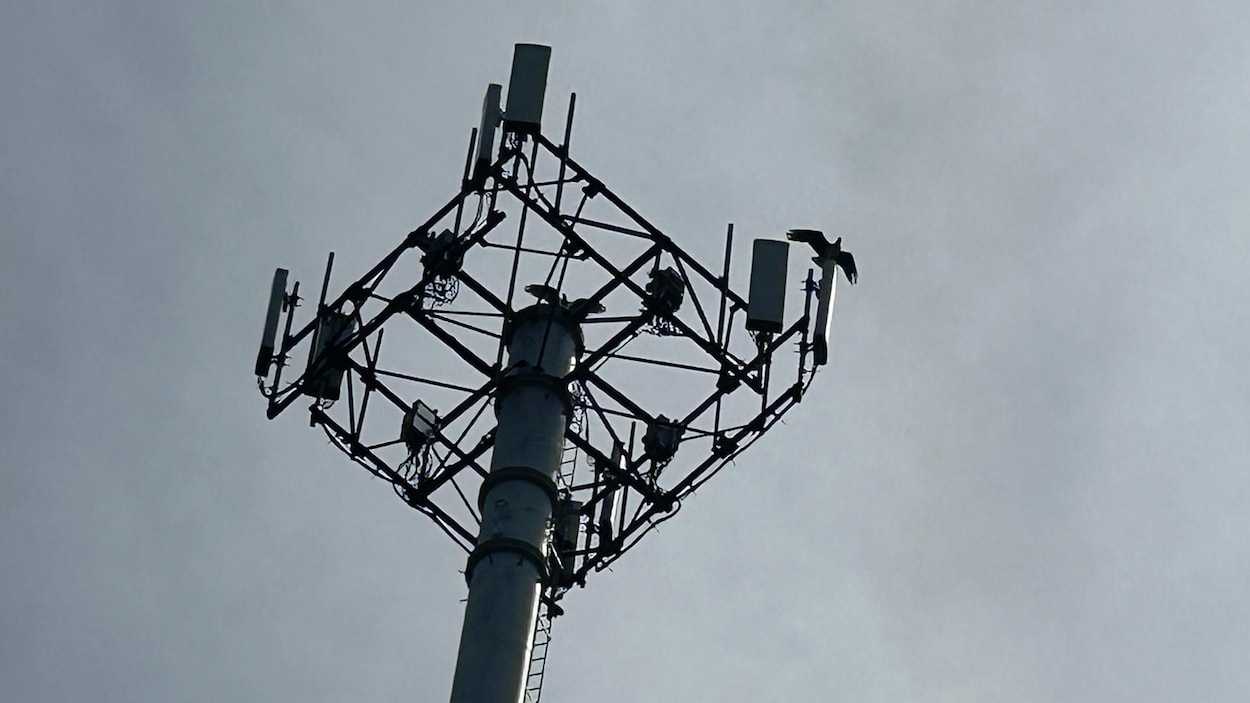 Port-Cartier va accueillir une nouvelle tour cellulaire