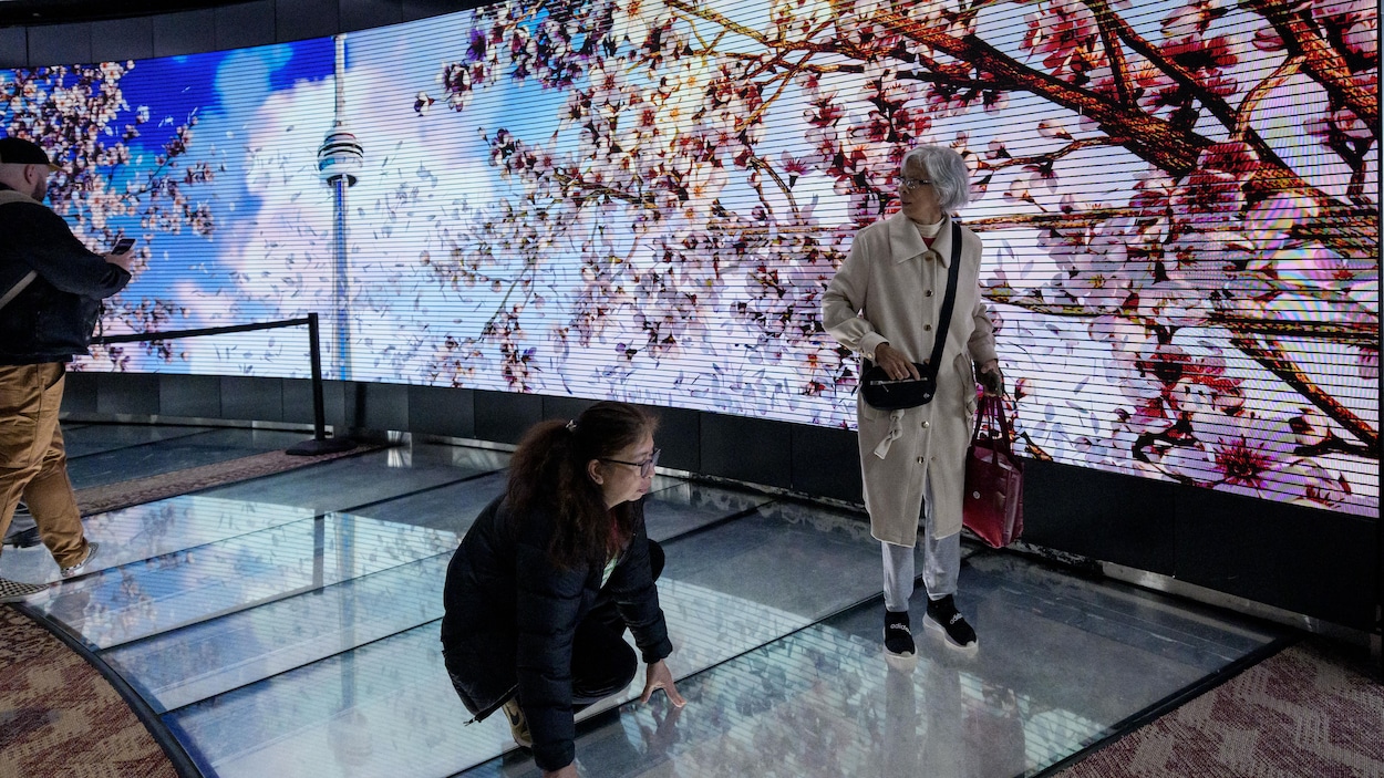 Que faire à Toronto ce week-end ? 7 idées de sorties (du 21 au 24 mai 2026)