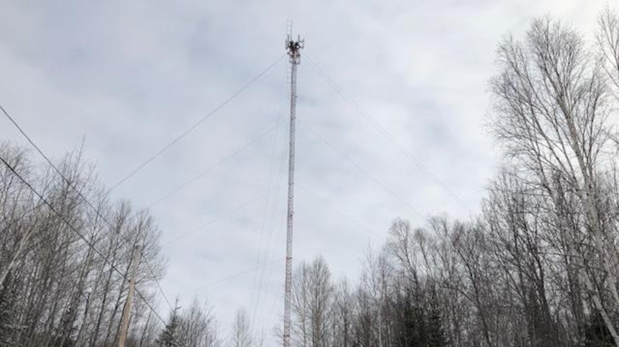 Une tour de transmission cellulaire