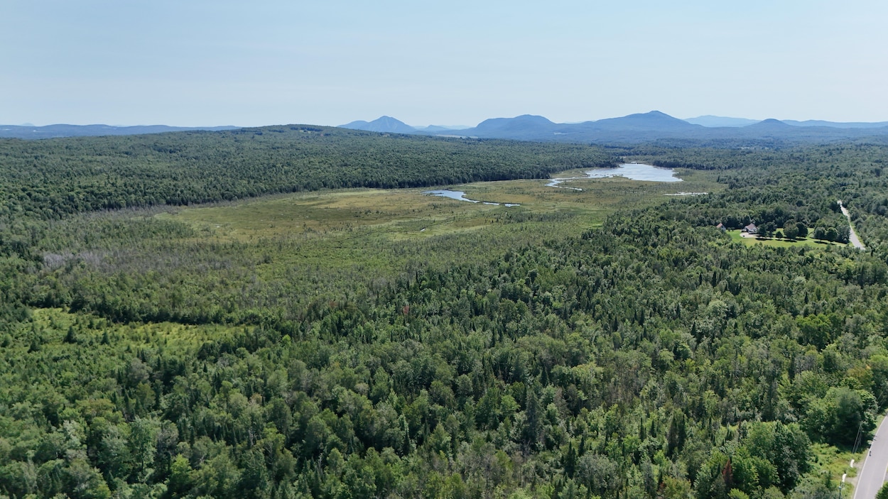 13 hectares de plus pour la tourbière Millington