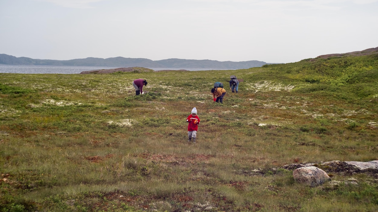L’émouvant retour aux sources de l’exposition De tourbières et d’îles