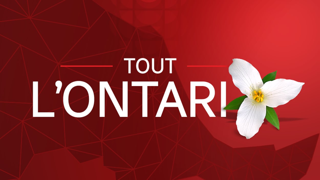 Le logo du portail Tout l'Ontario. Le logo du portail Tout l'Ontario.