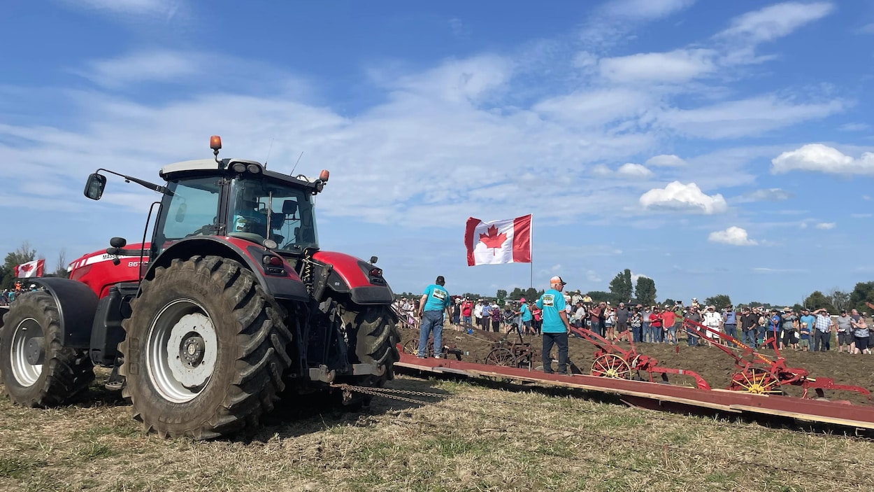La plus grande charrue fonctionnelle du monde est à St-Albert