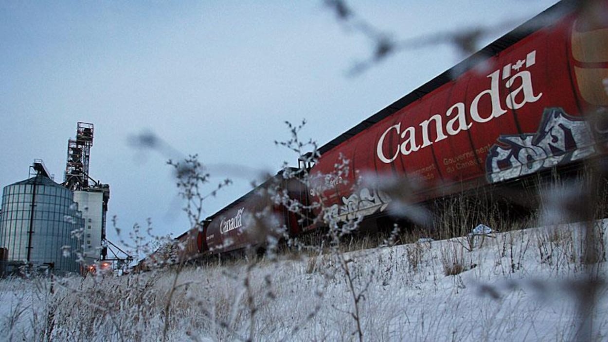 En arrière-plan, un wagon de train rouge sur lequel il est écrit Canada, et au premier plan du gazon enneigé.