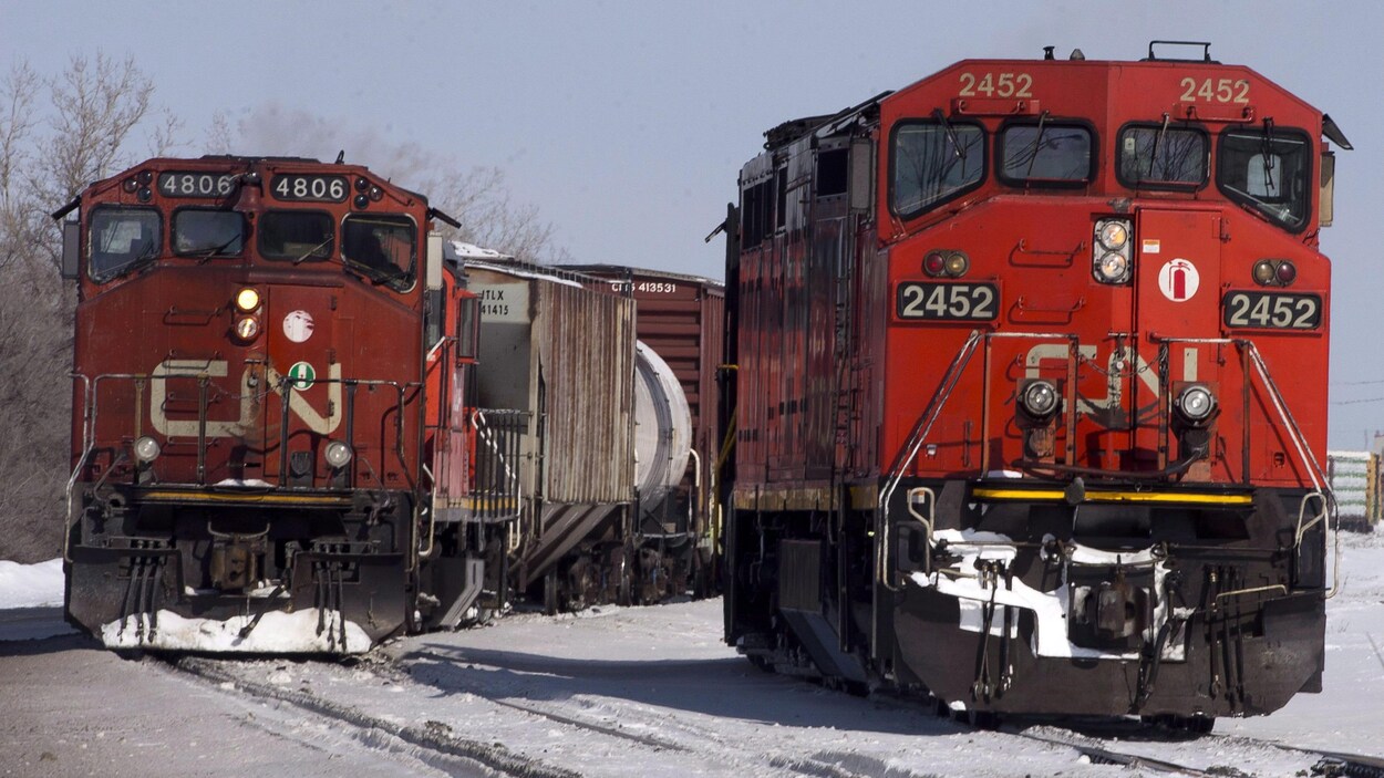 Deux trains du CN sur des voies enneigées.