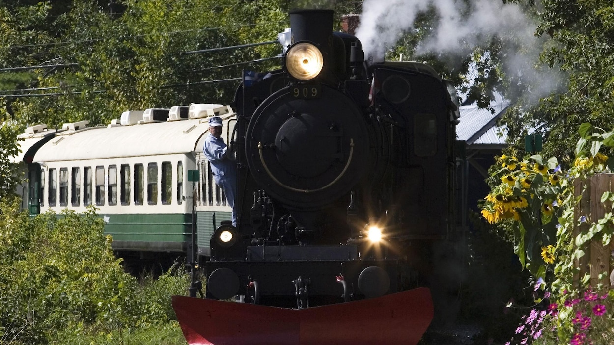 Un train à vapeur en été.