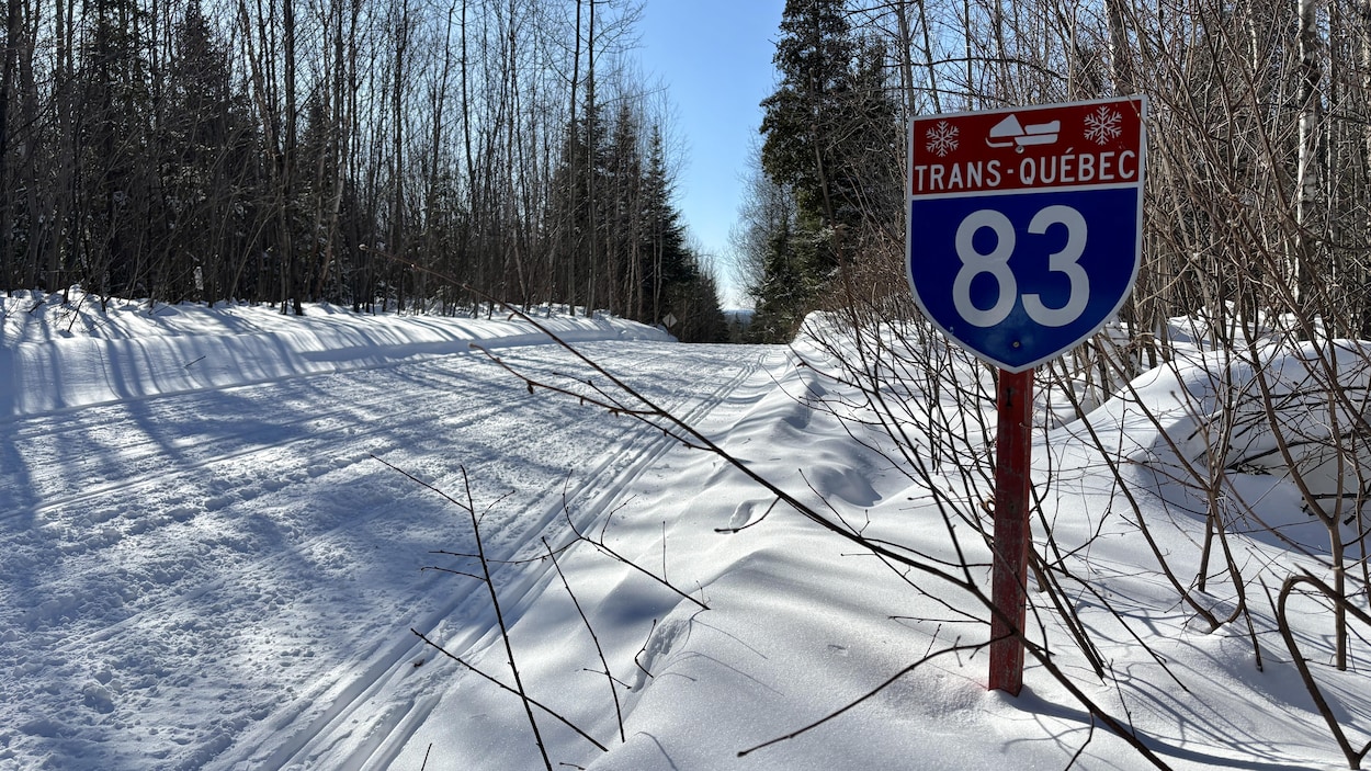 Un motoneigiste perd la vie après une embardée à Hébertville