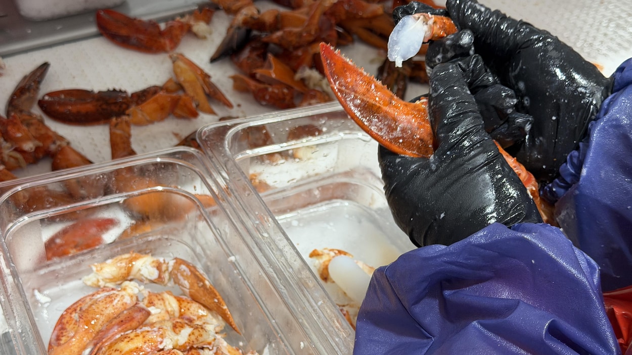 Contre-tarifs : les transformateurs de fruits de mer craignent un effet dévastateur