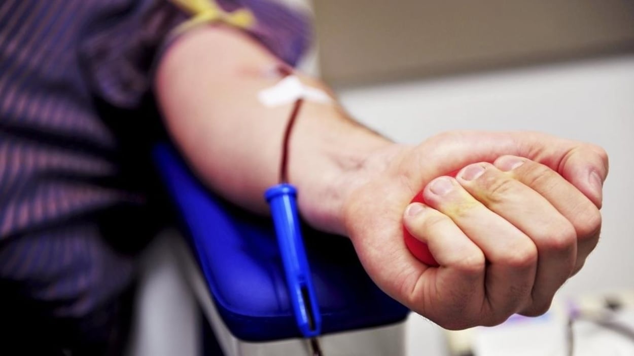 Les Témoins de Jéhovah désormais libres de recevoir ou non une transfusion sanguine