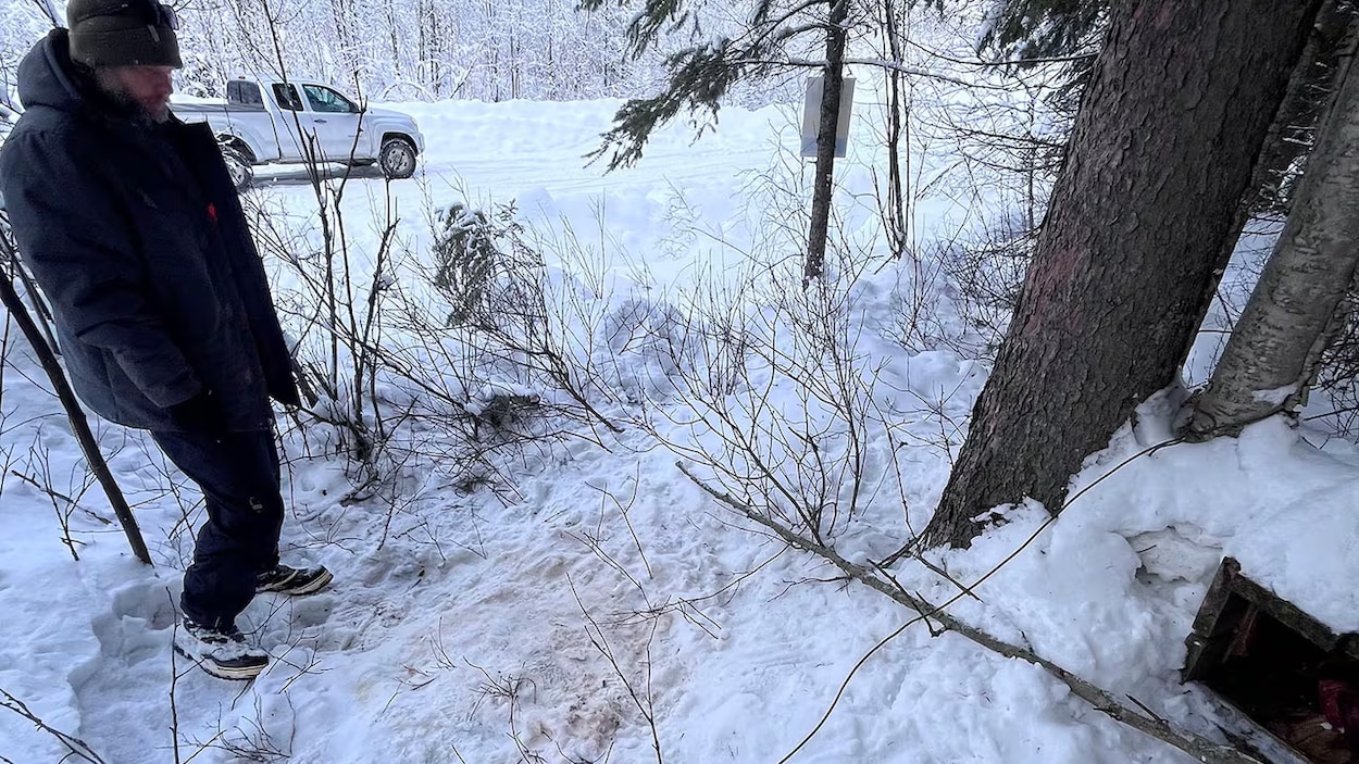 Un couple demande la fin de la trappe commerciale sur les terres publiques