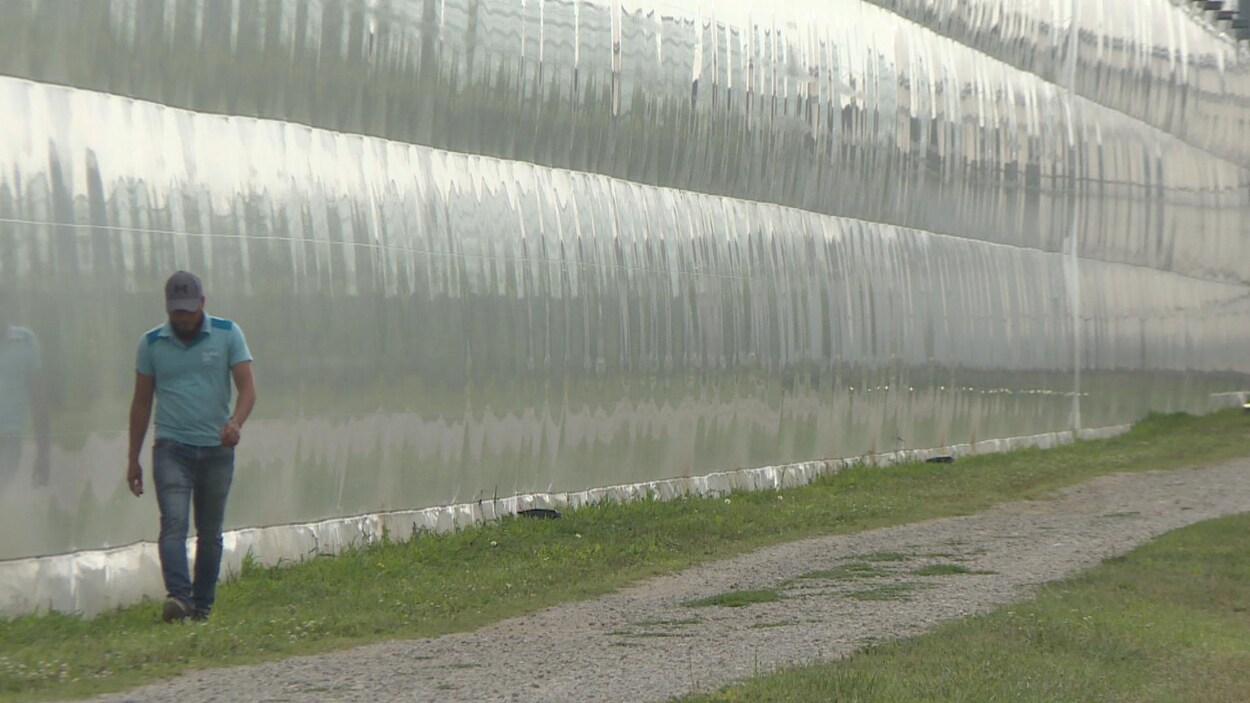 Un homme marche à côté d'un grand mur transparent qui semble être en plastique.