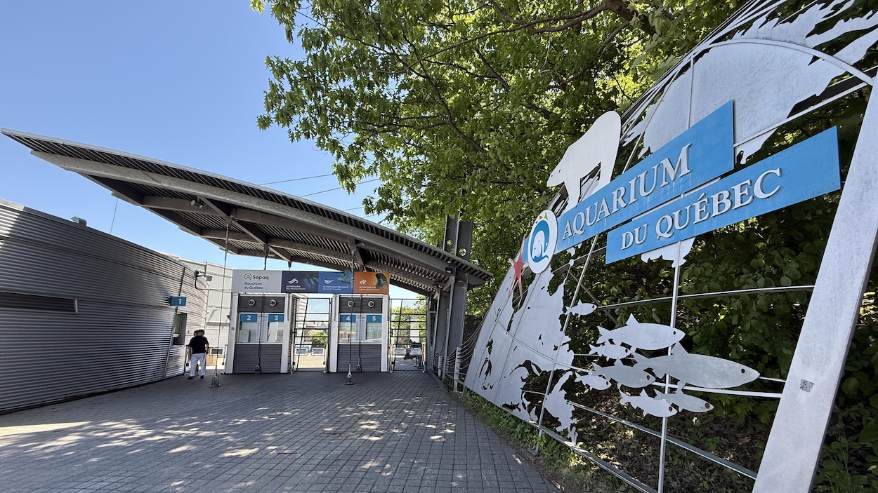 Travaux « majeurs » de mise aux normes à l’Aquarium du Québec