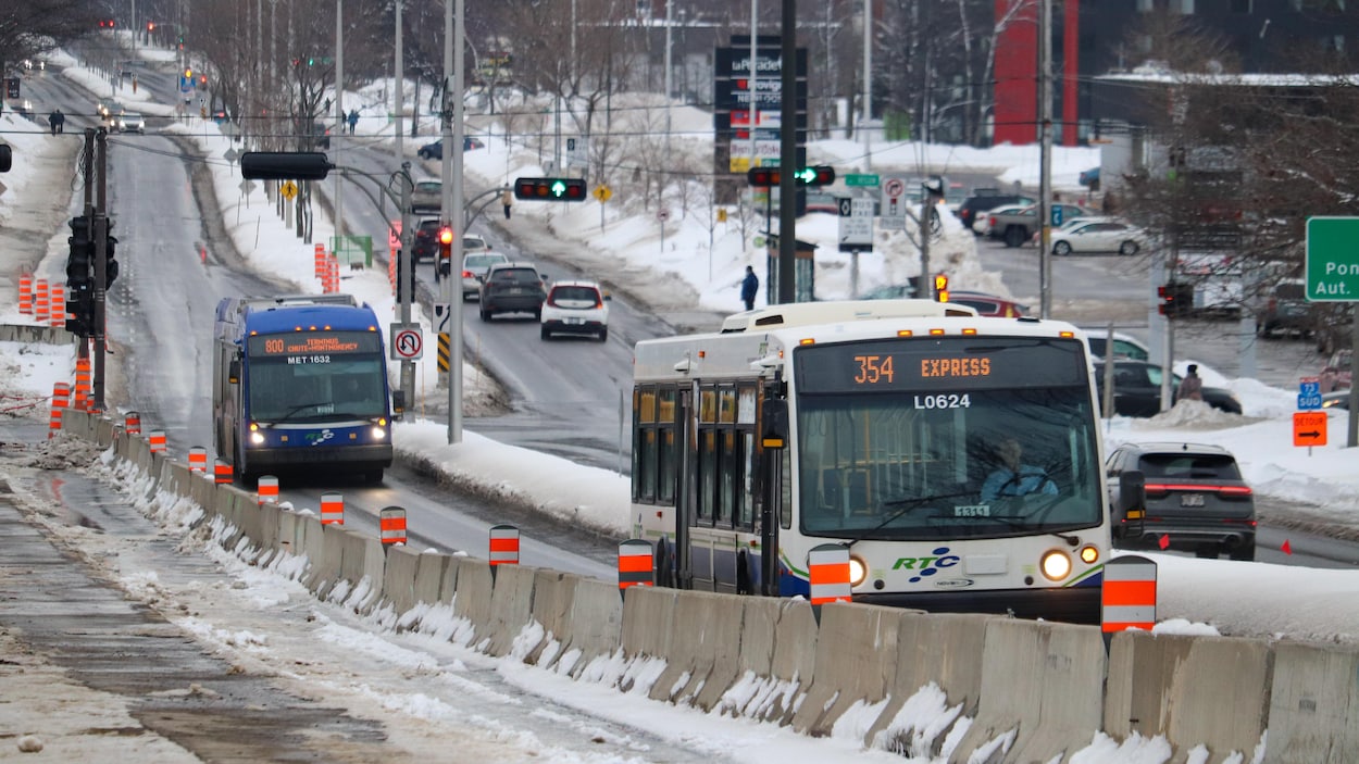 TramCité : la Ville précise ses travaux et l’abatage d’arbres à l’ouest de l’UL