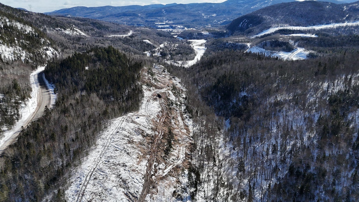 Enfin du déboisement pour le réaménagement de la route 170 à l’entrée de L’Anse-Saint-Jean