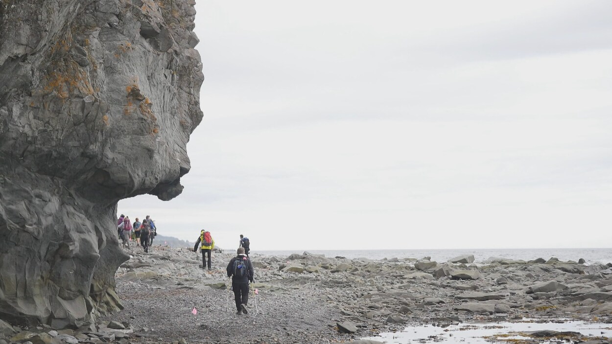 Des gens marchent entre une falaise et la mer.