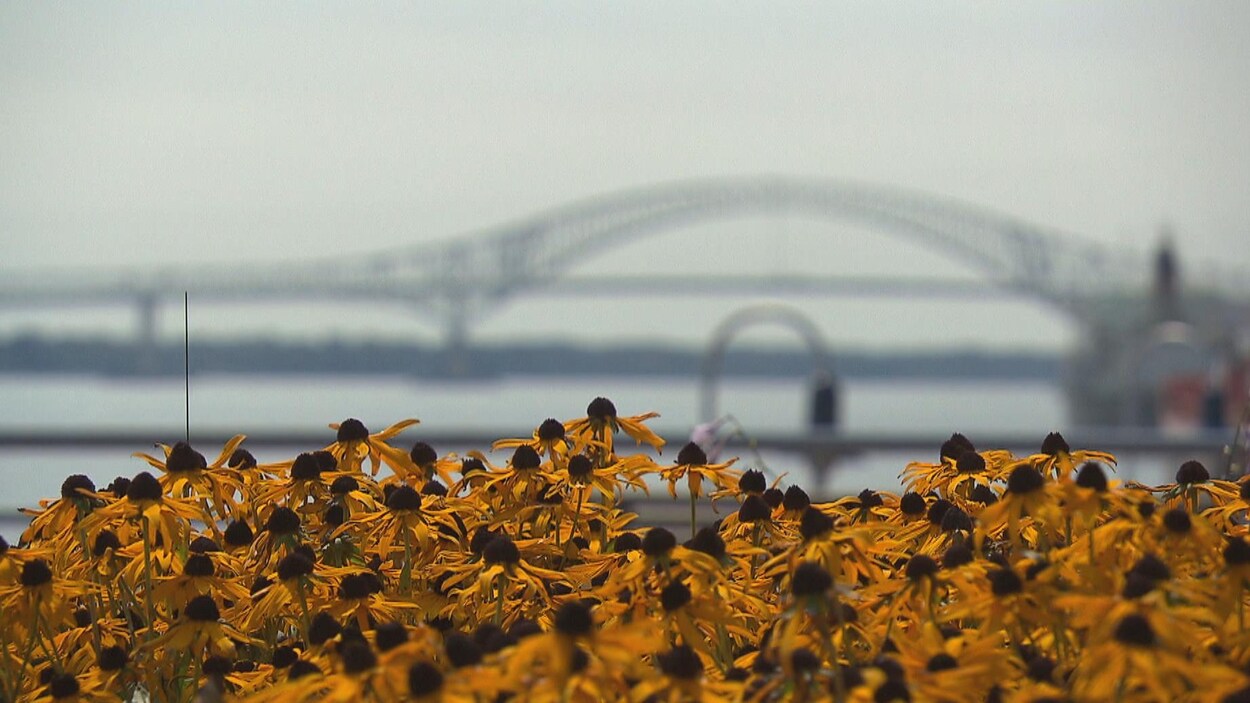 Le pont Laviolette à Trois-Rivières.