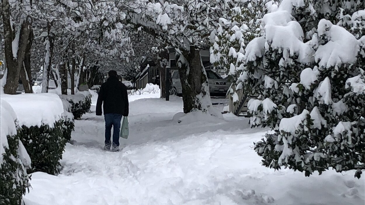 Un piéton marche le long d'un trottoir enneigé entouré d'arbres à North Vancouver le 15 janvier 2020.