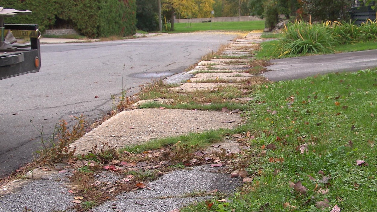 Un trottoir fissuré dans lequel poussent des herbes folles. Un trottoir fissuré dans lequel poussent des herbes folles.