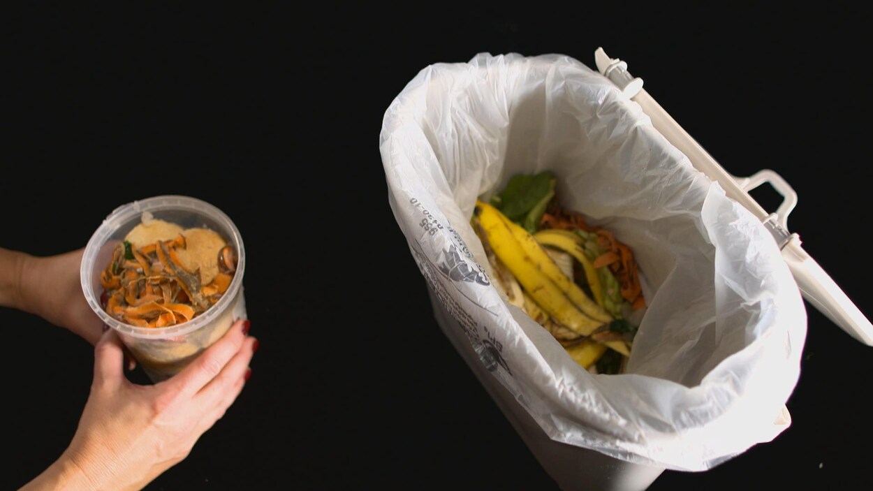 Des aliments dans un bac à compost.
