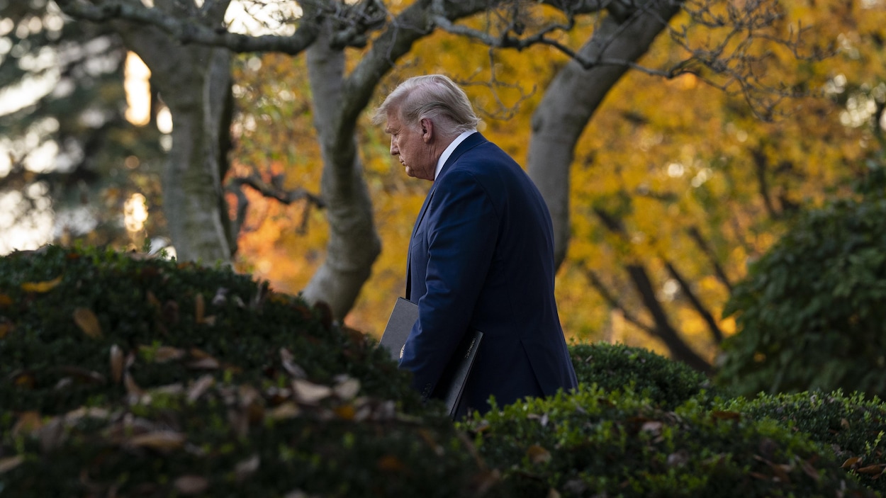 Plan éloigné de Donald Trump marchant dans la roseraie de la Maison-Blanche.