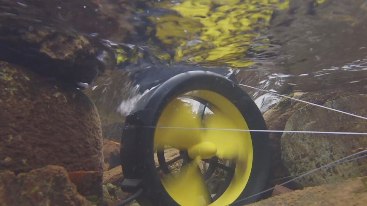 Le Waterlily est une turbine portative qui pèse moins de trois livres.