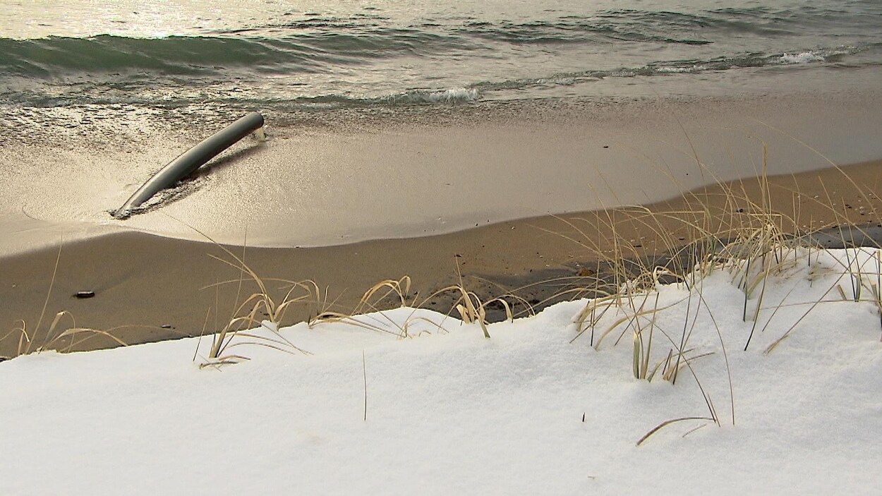 Un tuyau se déverse dans le fleuve