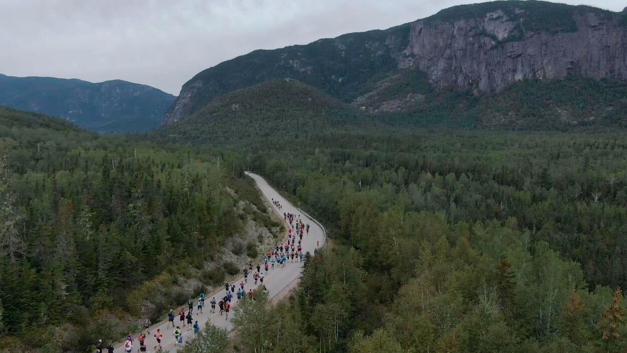 Des dizaines de personnes courent sur un sentier au milieu des bois.