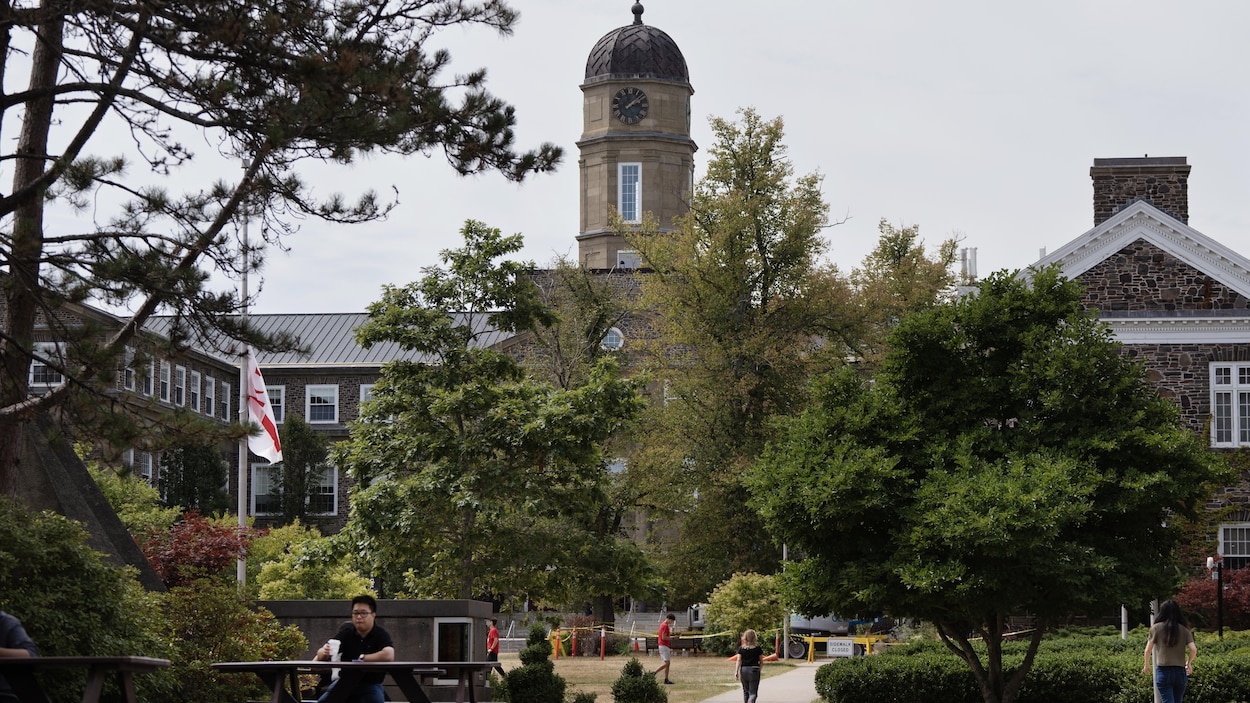 Les professeurs de N.-É. craignent une baisse du financement de certains programmes