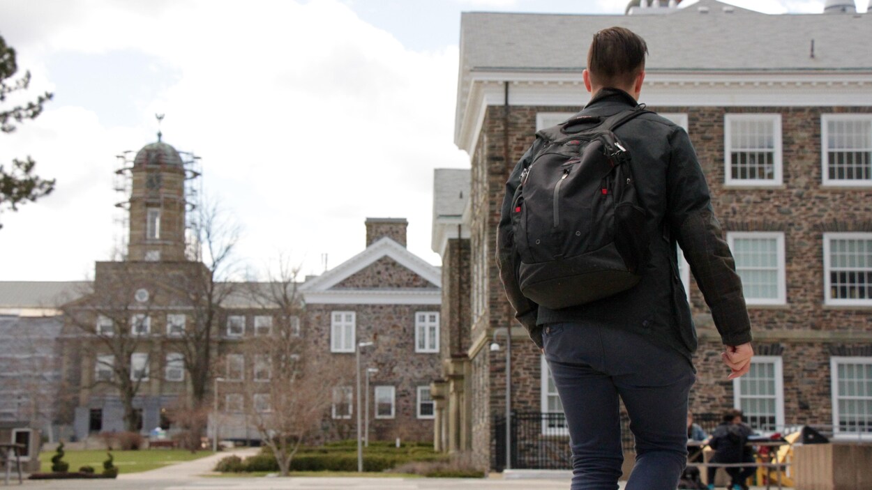 Un étudiant sur le campus de l'Université Dalhousie à Halifax en N.-É. Un étudiant sur le campus de l'Université Dalhousie à Halifax en N.-É.
